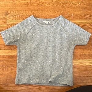 American Eagle gray cropped tshirt with small blue floral print